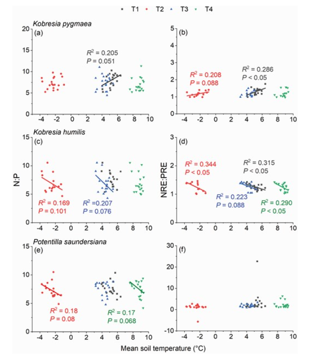 JPlantEcol's tweet photo. The different alterations of nitrogen–phosphorus stoichiometry and resorption may be one of the reasons how warming affects ecosystem composition.
#Warming #Nitrogen #Phosphorus #AlpineMeadow
Details: https://t.co/Gk6iqZdssb https://t.co/0XtNyQLi1R