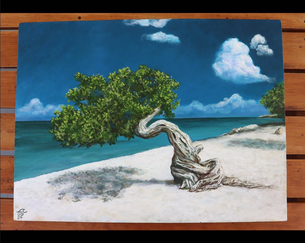 JulieKSchuler's tweet photo. Fofoti Tree. 18" x 24" acrylic on canvas. By Julie Schuler https://t.co/t8lyjiGMGg #art #painting #fofoti #seascape #beach #ocean https://t.co/tC9QFUSa50