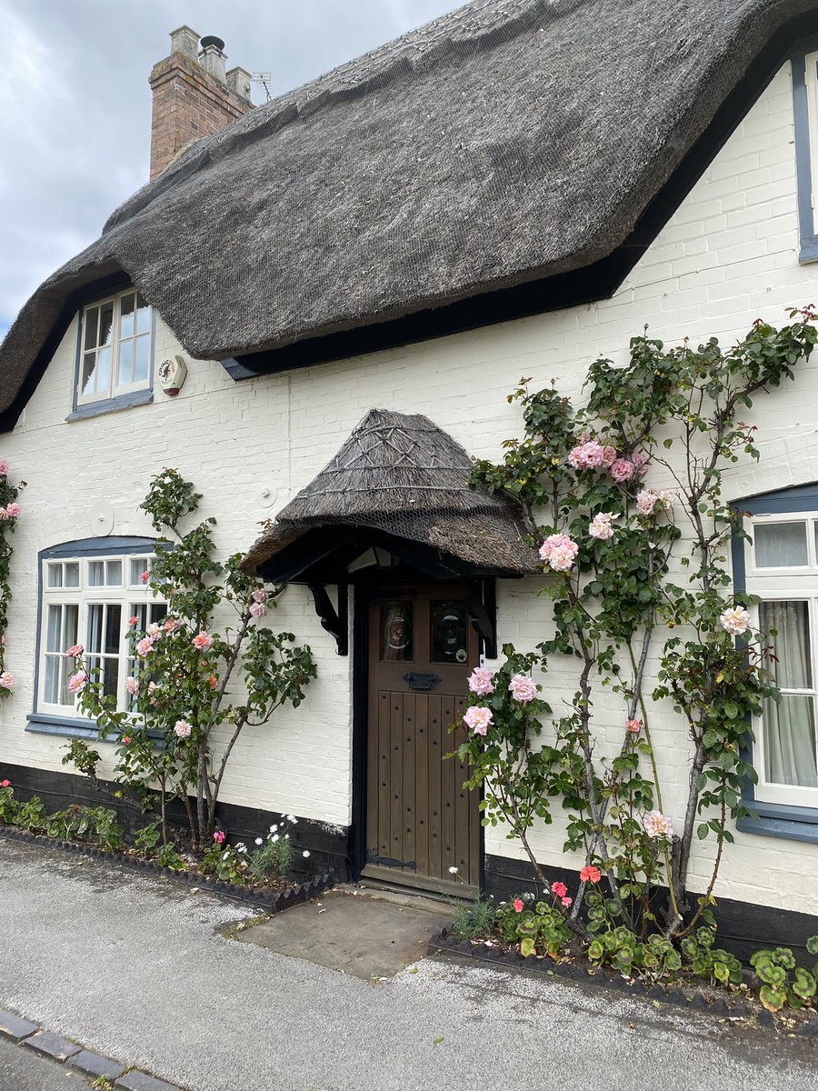 Megthelibraria1's tweet image. It’s been a good year for the roses #cottages #Gardens #Flowers