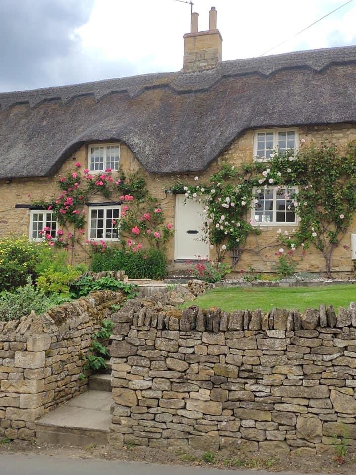 Megthelibraria1's tweet image. It’s been a good year for the roses #cottages #Gardens #Flowers