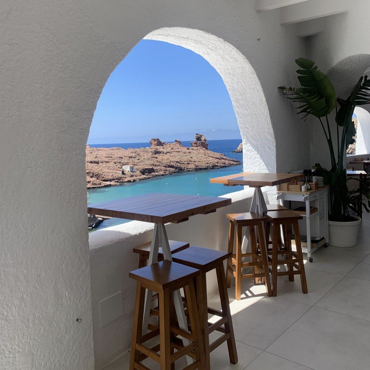 Beatriz González tweet media