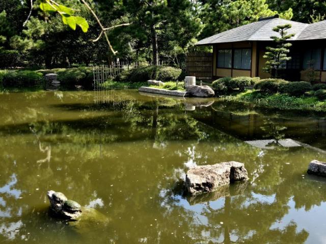 SpeakingSingles's tweet photo. People from the club went to the Japanese Garden today. It looked tranquil there. https://t.co/UzJRqrgmi5