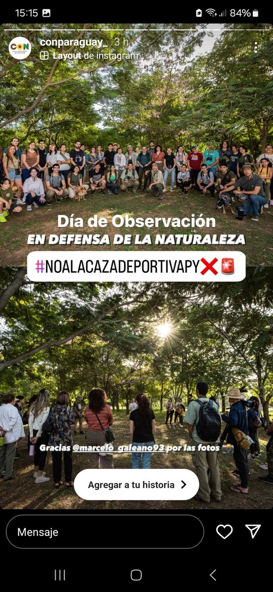 con_paraguay's tweet photo. El CON promueve actividades de observación  de aves. Gracias a los guías Oscar Rodriguez, Sergio Rios,  Oscar Bordón y Nando Beconi. Vimos un promedio de 30 especies en cada recorrido. Gracias @opades_py y @GVparaguay @afinada @conasurukua https://t.co/xx04aMlesC