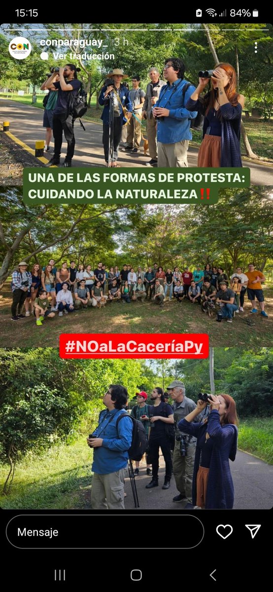 con_paraguay's tweet photo. El CON promueve actividades de observación  de aves. Gracias a los guías Oscar Rodriguez, Sergio Rios,  Oscar Bordón y Nando Beconi. Vimos un promedio de 30 especies en cada recorrido. Gracias @opades_py y @GVparaguay @afinada @conasurukua https://t.co/xx04aMlesC