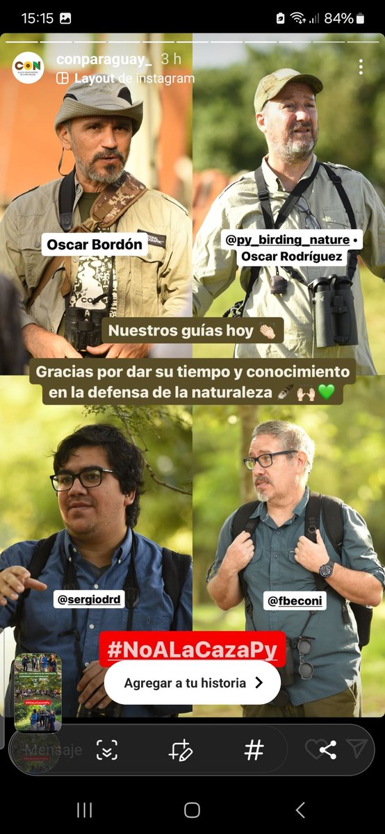 con_paraguay's tweet photo. El CON promueve actividades de observación  de aves. Gracias a los guías Oscar Rodriguez, Sergio Rios,  Oscar Bordón y Nando Beconi. Vimos un promedio de 30 especies en cada recorrido. Gracias @opades_py y @GVparaguay @afinada @conasurukua https://t.co/xx04aMlesC