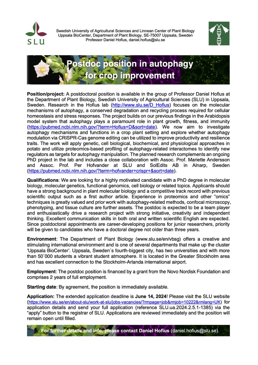 There is still time to apply for the postdoc positions in my lab (extended deadline 14 June 2024)! More info in the adverts below and earlier post. Please RT! #PlantSciJobs #postdocjobs #sciencejobs #plants.
