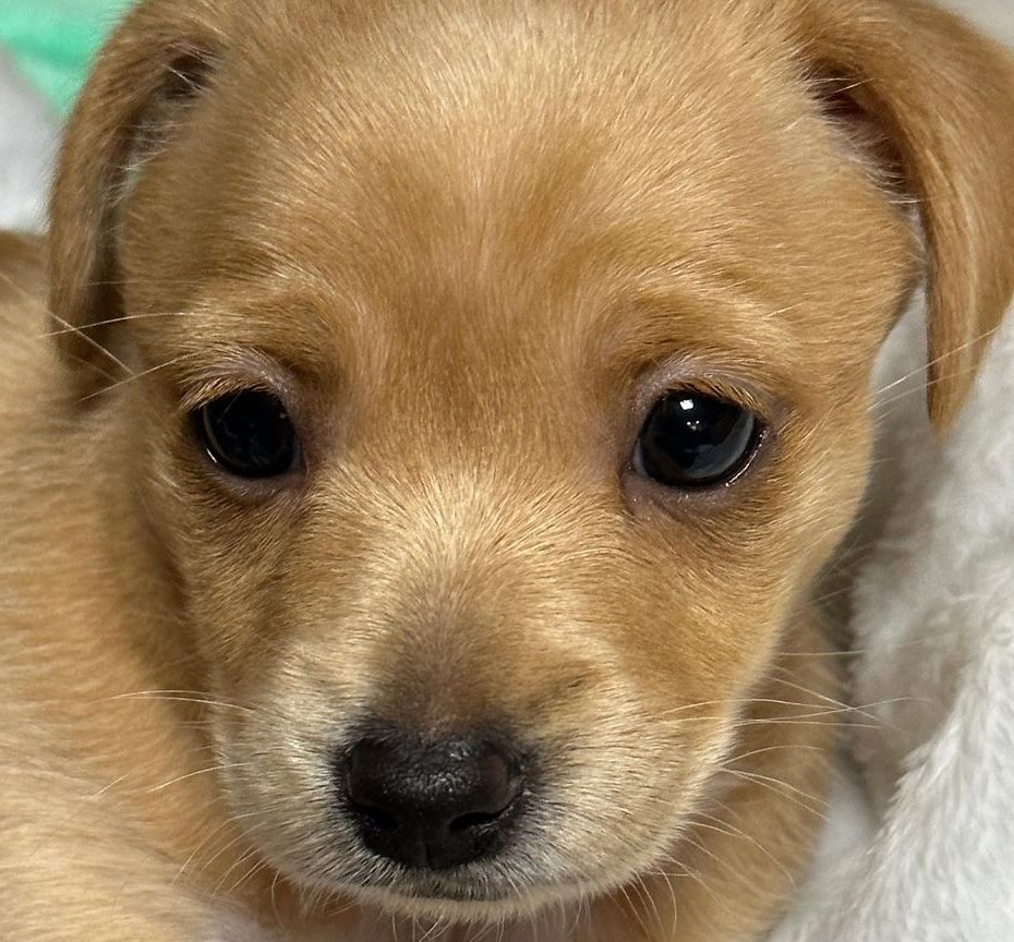 devilmaycryk's tweet image. #newprofilepic ooc. hii, i have bad news