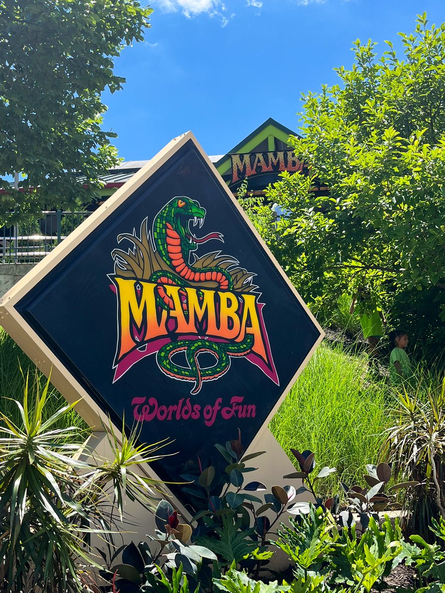 DannyMessinger's tweet image. Respectfully petitioning all parks to run their Morgan hypers like this one.