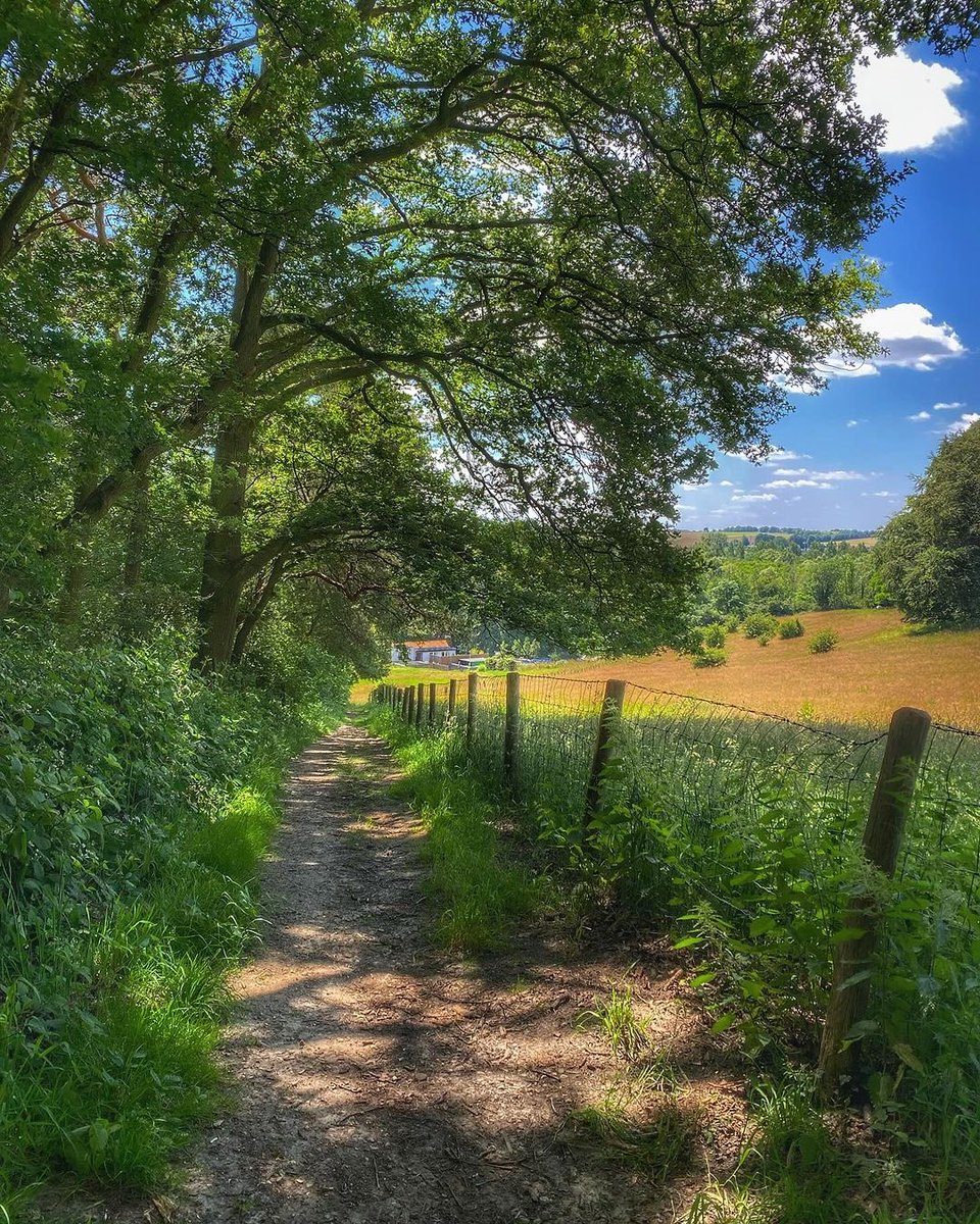 Schinnen #MagnifiekZL
📸: sannavandekapelhof - Instagram