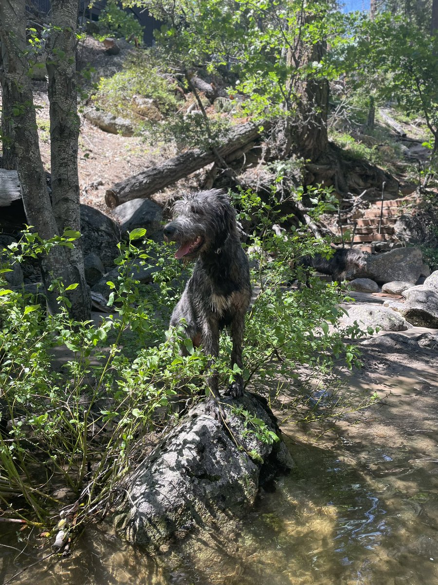 Found a quick hack for growing taller! —Crowley