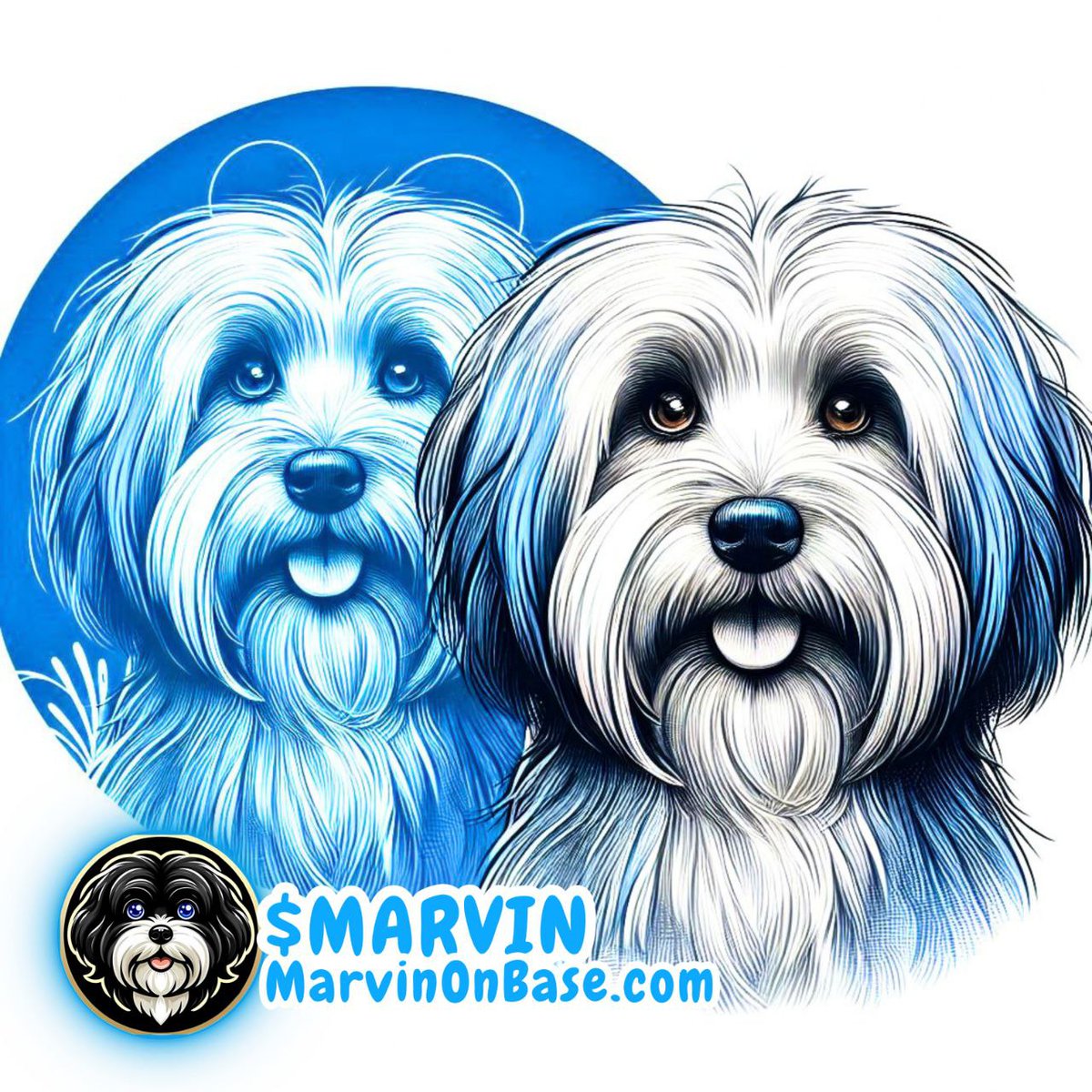 The allocation of funds to Shiba Inu burns underscores the deepening synergy and cooperative endeavors between $Marvin and Shiba Inu.

#MarvinOnBase

💥 x.com/MarvinBaseChain

🍿#MARVINONETH 
🍿#Crypto 
🍿#MARVIN
#CMT #CMTitans