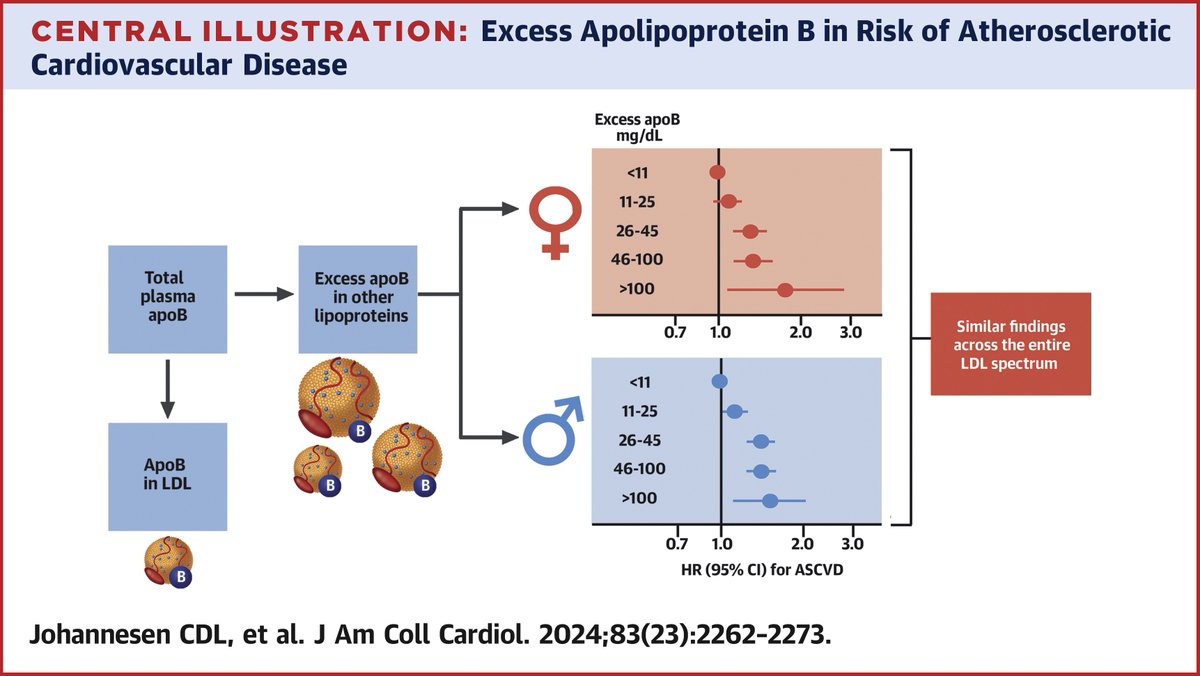 Q: Is excess apolipoprotein B associated w/ an increased risk of myocardial infarction, ASCVD, and all-cause mortality?

A: Increases in excess apoB values were observed w/ increases in current smoking, systolic blood pressure, BMI &amp; diabetes. bit.ly/45bFJhb