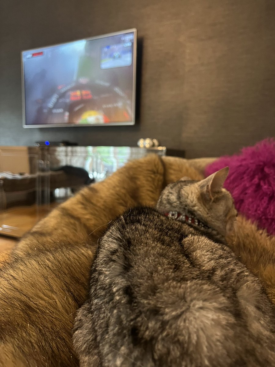 padmepipkin's tweet photo. What an exciting Canadian GP! 🌧️🏎️

#f1 #CanadianGP https://t.co/nLQSnUuopl