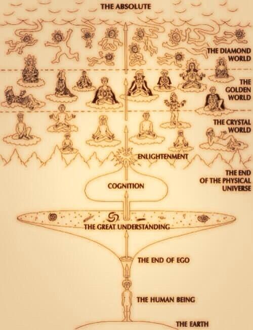 redpillb0t's tweet image. 