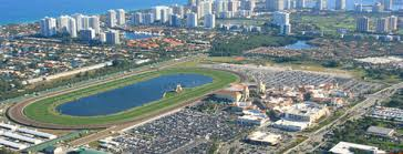 lotohipico's tweet photo. #DOMINGO #Junio09. 2024. #GulfstreamPark #AMERICANAS #hipismo @DerbyNoqueador
Asesoría 04248131900.
✔️SEPTIMA CARRERA: 1 "Base"/4.🏇👊. https://t.co/WOShVjNRQg