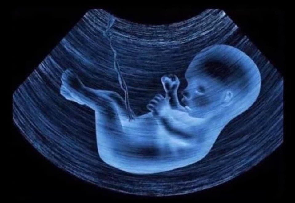 Íris, a Divulga Nacional✨ tweet media