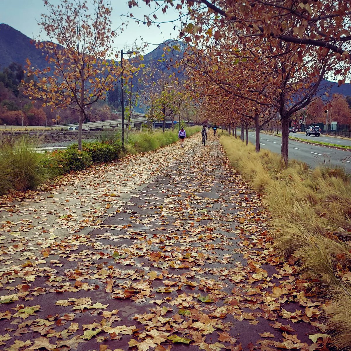 justzcythe's tweet photo. 🍃🚴‍♂️ https://t.co/TeOd96ofw6