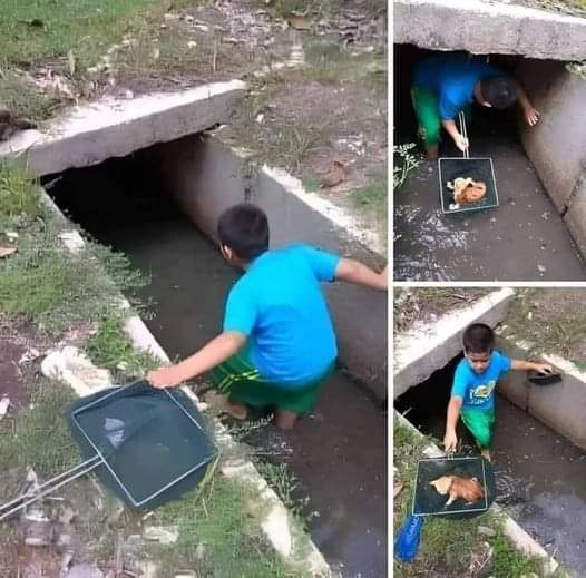 GRamirezF_D12's tweet photo. No sé quién eres, pero te mereces el respeto de todos y te mereces lo mejor de tu vida. ❤️👏 https://t.co/8C5n5sqFmq