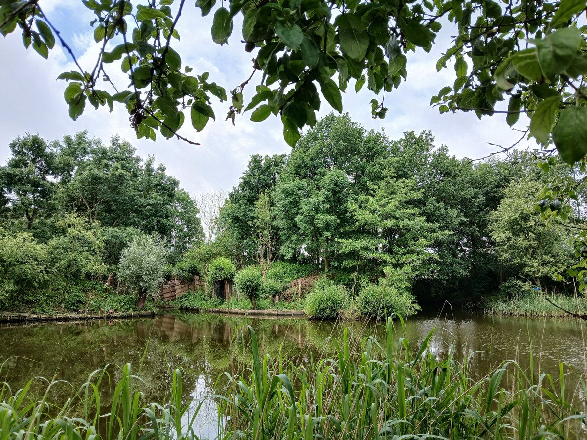 Laura de Graaff tweet media