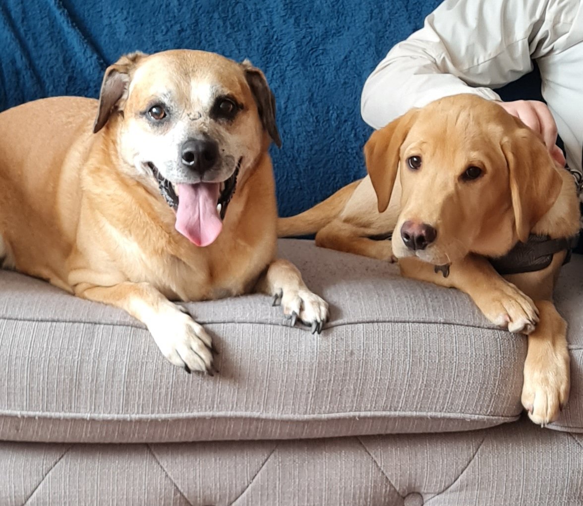 Paula Stevenson tweet media