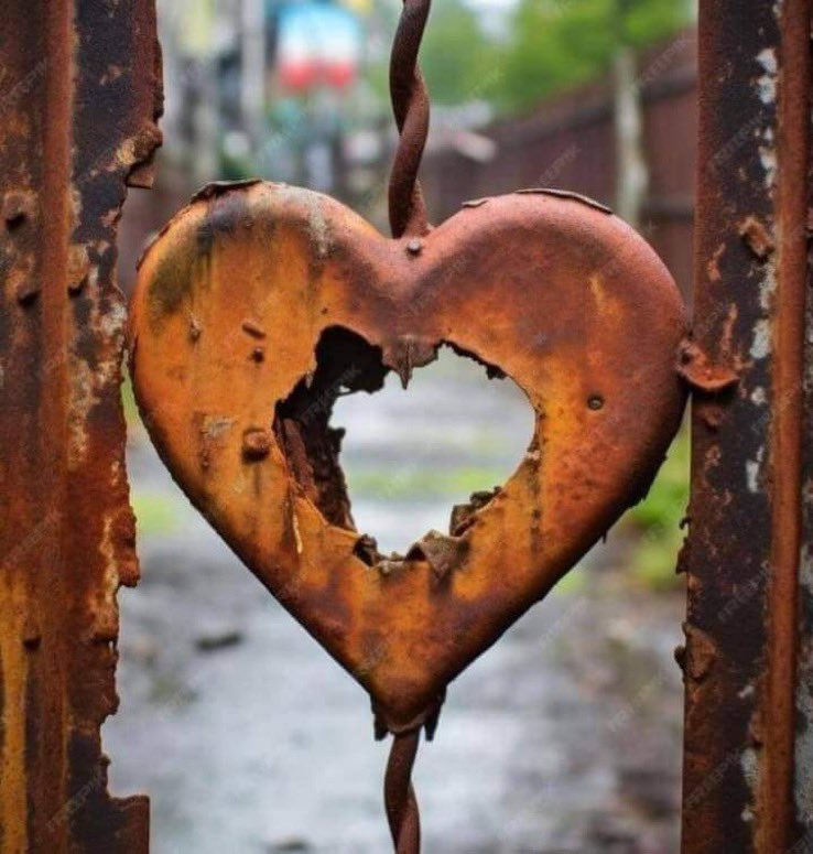 ‏♔ڄٌۅۅۅًد🕊♔ tweet media