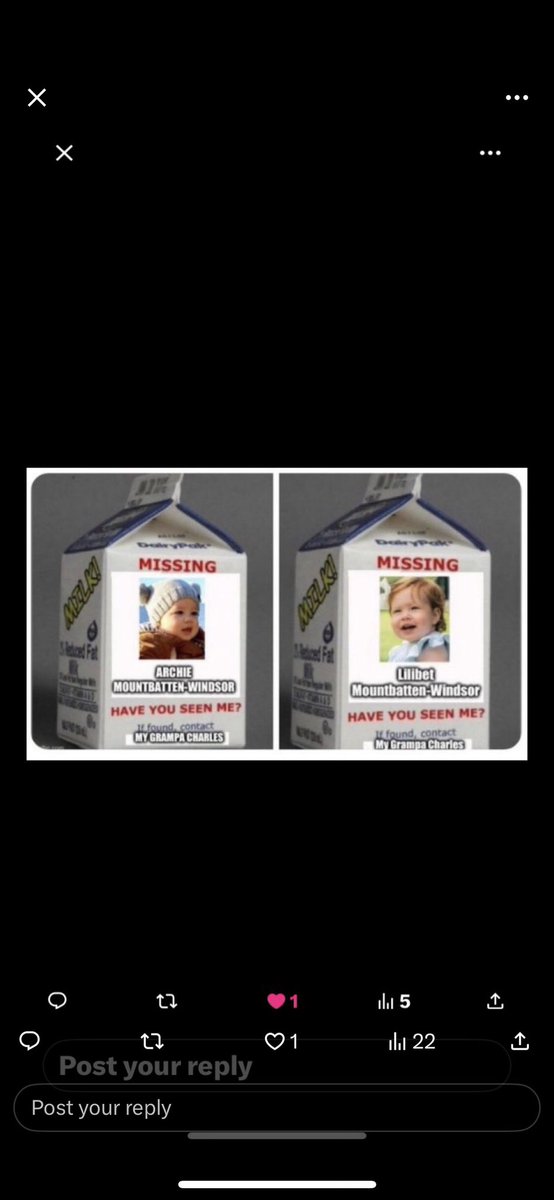 helenthemadex's tweet image. It’s weird that all these fools ask after Catherine an adult with many friends, but are not concerned about two vulnerable young kids who have not been seen for years, not interested in them just pointing out the hypocrisy #wherearetheharklekids #archificial #invisibet