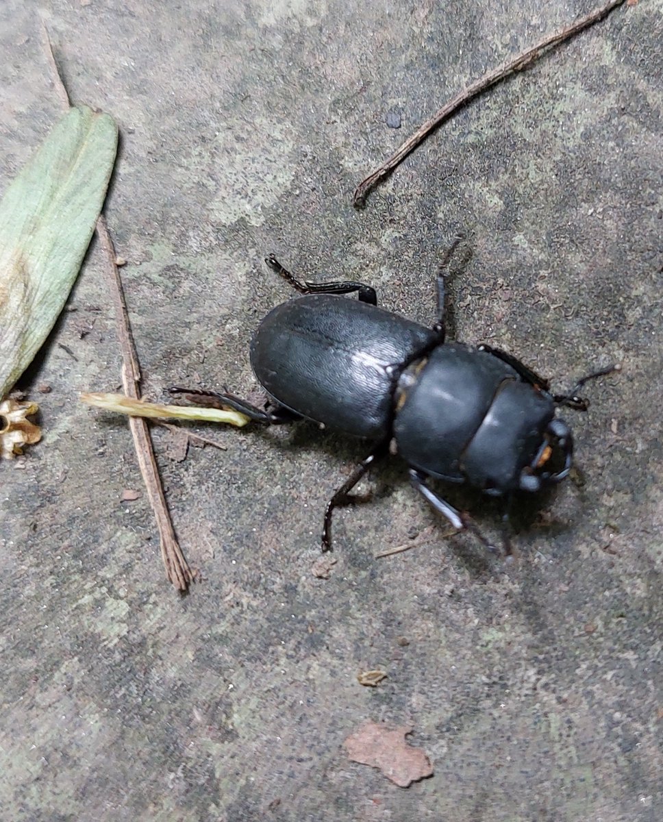 Kate Garrett tweet media