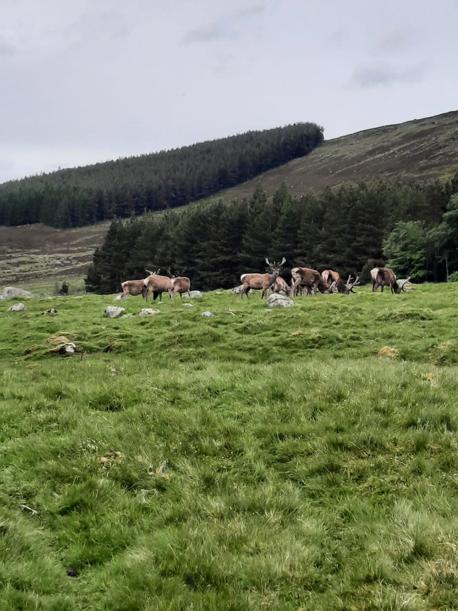 Aideen (@aideenm79) on Twitter photo The most perfect spot for my daughters Duke of Edinburgh camp/ hike. <a href="/DofE/">The Duke of Edinburgh’s Award</a> <a href="/harlaw_academy/">Harlaw Academy</a> The most perfect spot for my daughters Duke of Edinburgh camp/ hike. <a href="/DofE/">The Duke of Edinburgh’s Award</a> <a href="/harlaw_academy/">Harlaw Academy</a>