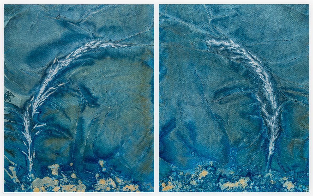 inspired0images's tweet photo. More cyanotype creations for this year, which I hope will be exhibited and available for purchase towards the end of summer.

#Cyanotype
#Wetcyanotype
#Grass
#Worldcyanotypeday
#Sunprints
#Fabriano1264
#panel https://t.co/cqz2uPtDzi