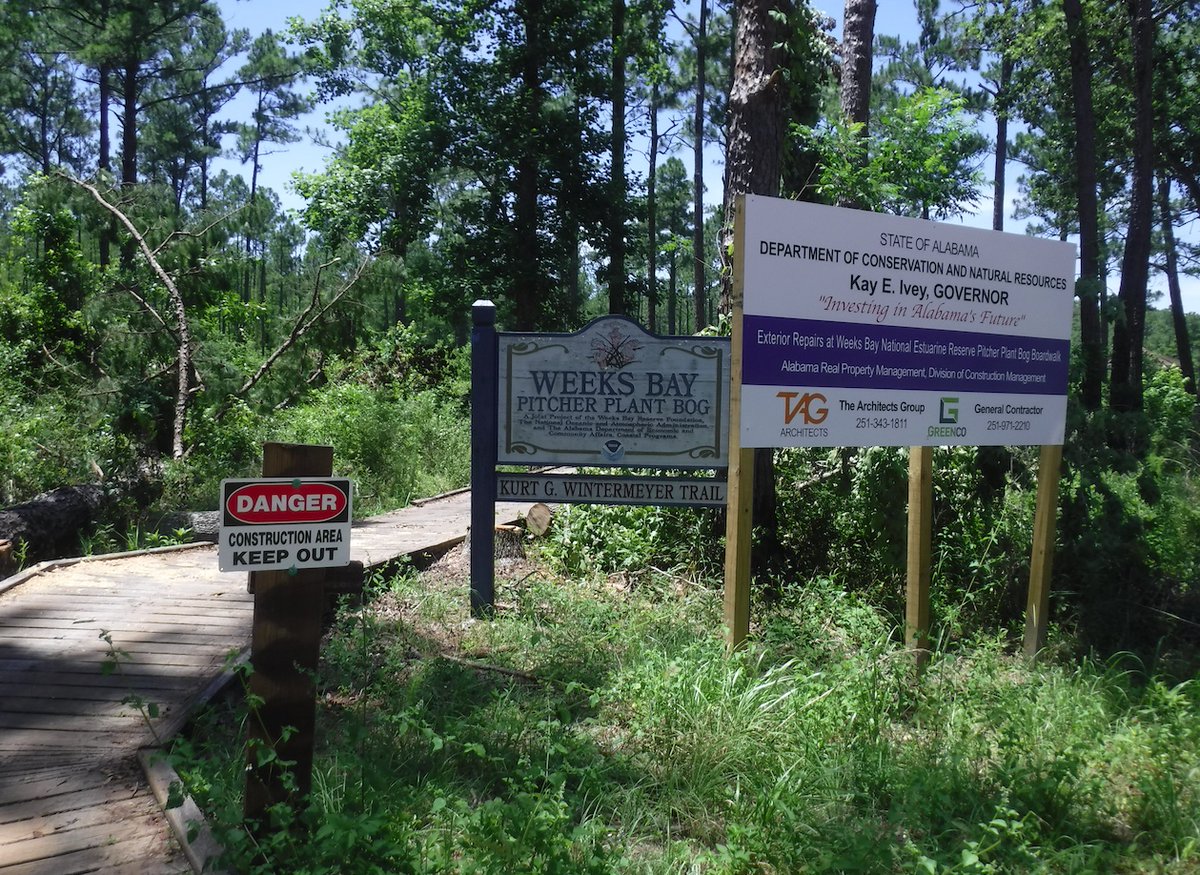 Fairhope_Times's tweet photo. Making progress on the Weeks Bay Bog boardwalk replacement project. Completion still expected later this summer.  #weeksbayalabama #fishriver #BaldwinCounty https://t.co/kfaXCZkNoN