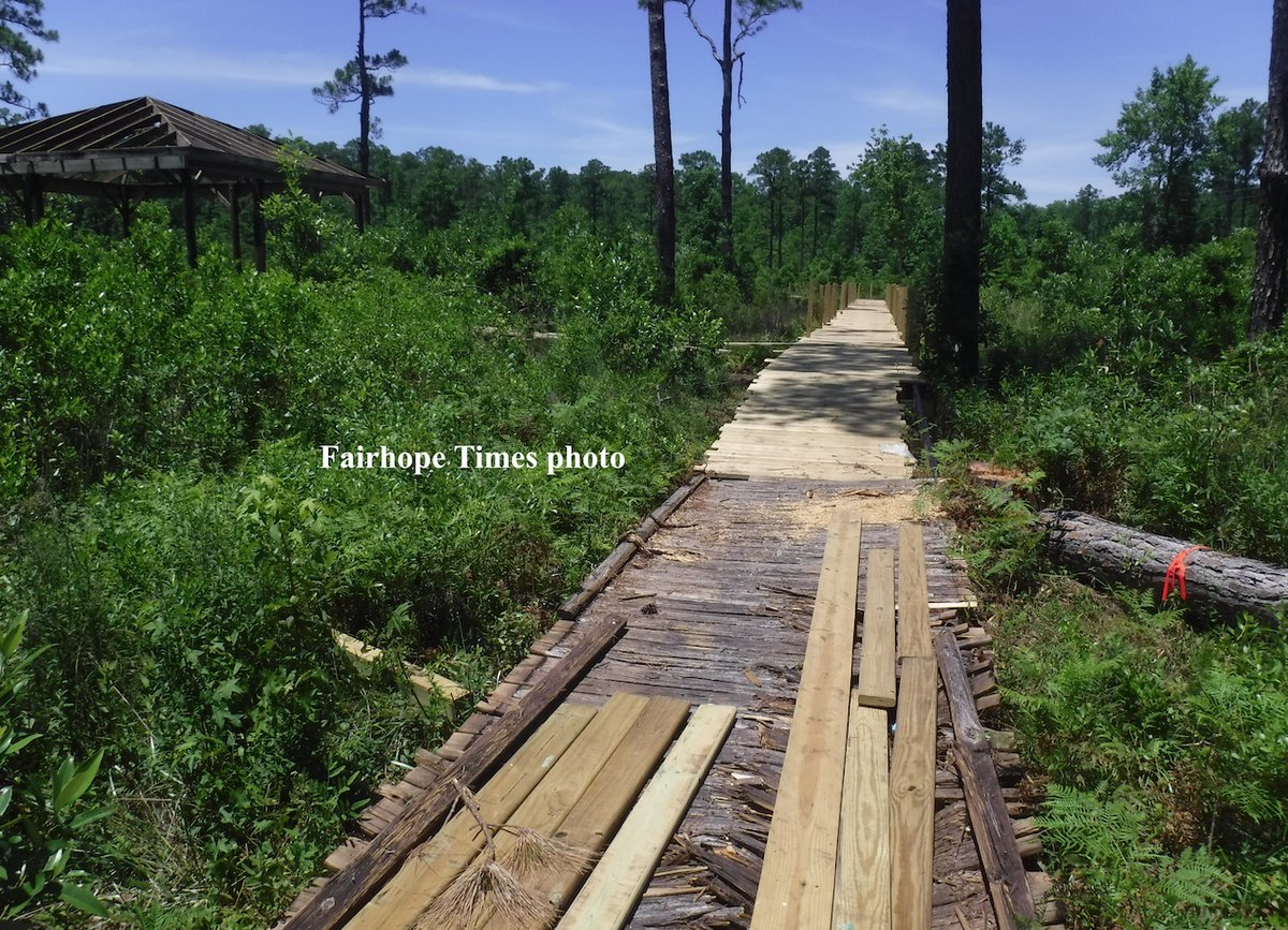 Fairhope_Times's tweet photo. Making progress on the Weeks Bay Bog boardwalk replacement project. Completion still expected later this summer.  #weeksbayalabama #fishriver #BaldwinCounty https://t.co/kfaXCZkNoN