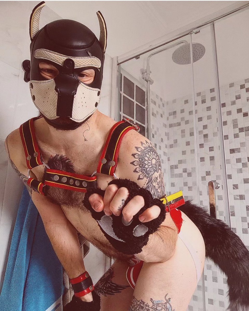#gay #gaysex #gayporn #bdsm #gaybdsm #gayharness #puppy #puppybdsm #bondage #submissivepuppy #gaypt #gayespaña #gayusa #folson #harness #gaypuppy #gaybrasil #bottom #gaybdsm #gayassplay