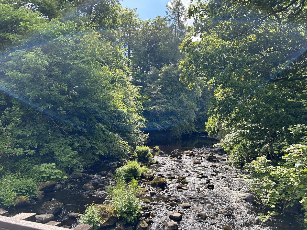 collsdad's tweet photo. A trip back in time - it seems we did grow up in The Shire after all @dabeattie99 #carronglen https://t.co/ftaLiACMPs