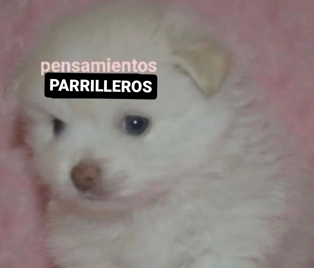 es domingo, hay sol y no hace frío