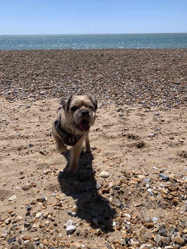 BorderDex's tweet photo. Holibobs 🏖️ https://t.co/cG1bakTXne
