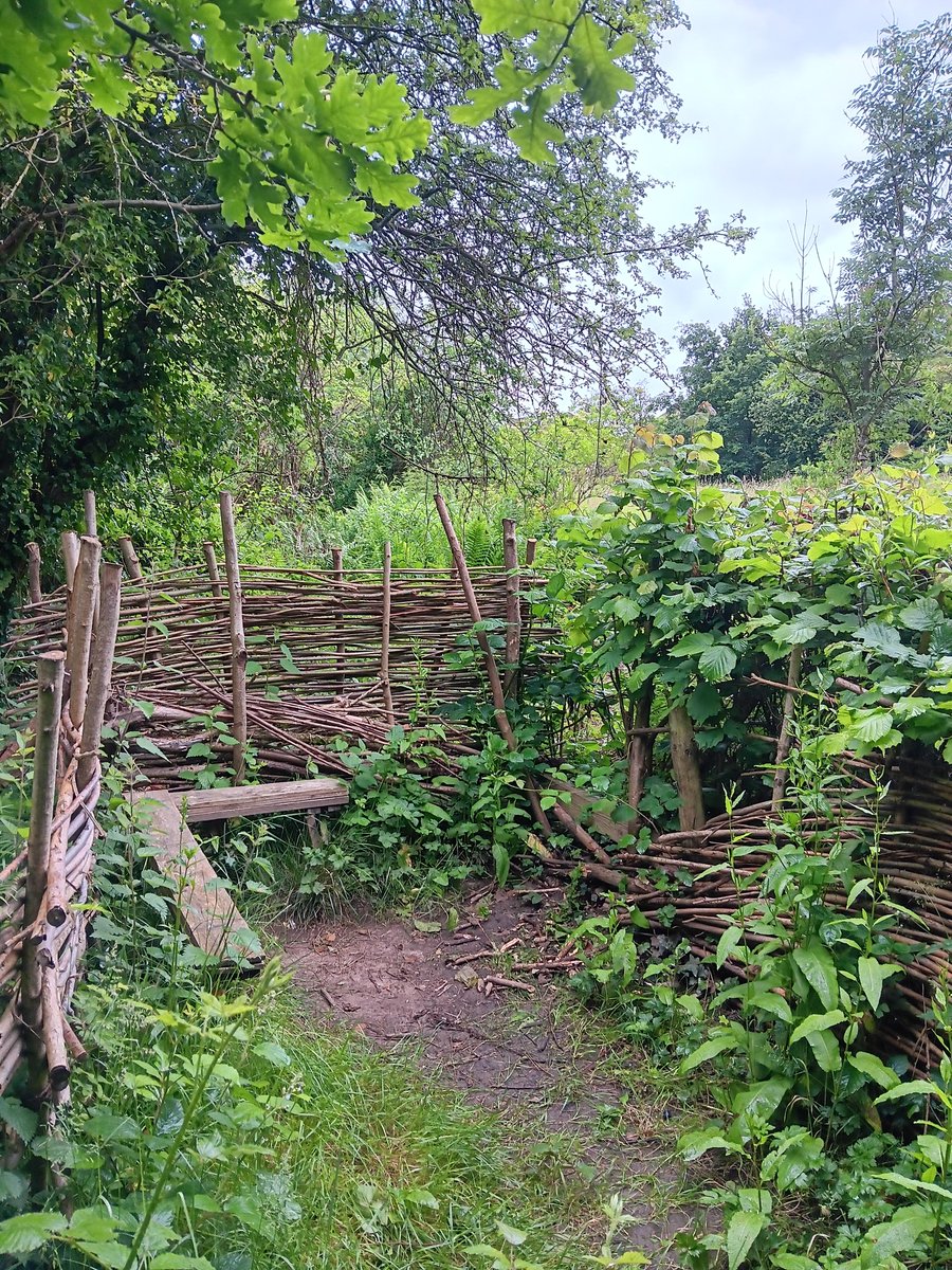 Dean Tongue tweet media