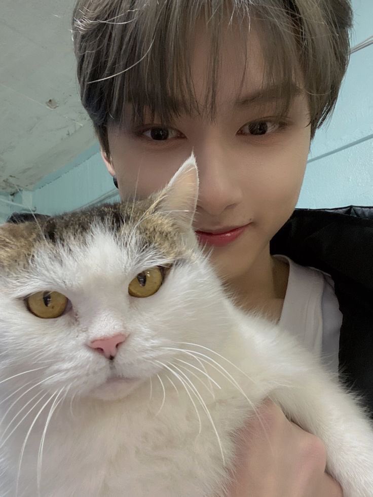 twirachare's tweet photo. @wjhvisuals @pledis_17 HAPPY JUNHUI DAY
#냥이_차오른단건_준휘_생일이란뜻이야
#JUNmeowDAY @pledis_17 https://t.co/oMq7m1PFvz