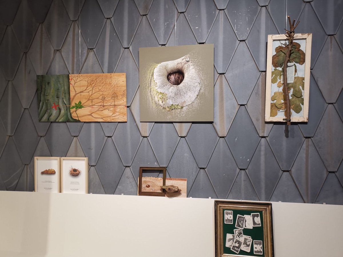vrijezangvogel's tweet photo. Omdat ik dit voorjaar mezelf al getrakteerd heb op kunst van @HesterLoeff en @Jennekepenneke vandaag vooral genoten van kunst van #MarjaVDHeijden in @BrederodeInfo, Verstilling door #Mossen, en #AnneliesVeeze in voormalige kapel provinciaal ziekenhuis #Santpoort, dot in universe> https://t.co/4HS3L3IO8p