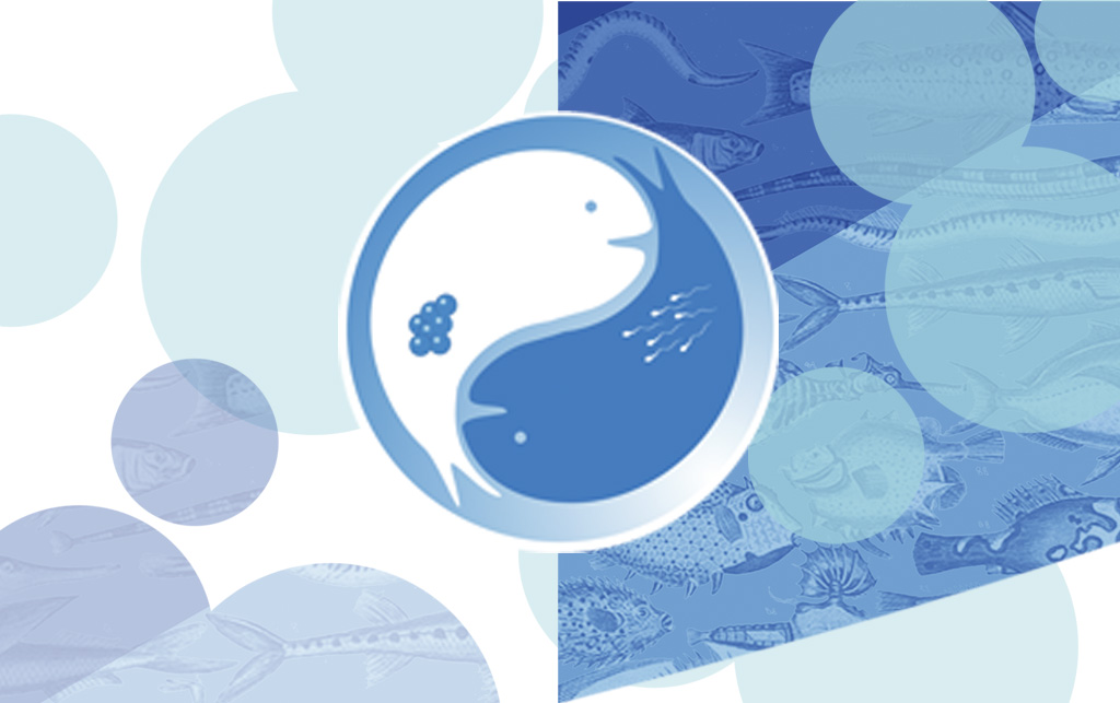 FishGametes's tweet photo. Exciting news! #FishGametes2024 will showcase scientific contributions involving over 30 different fish species! 🐟 Join us in León to delve into the diverse and captivating research from around the world. 🌍 #León #FishResearch https://t.co/ylDY4YF4tA