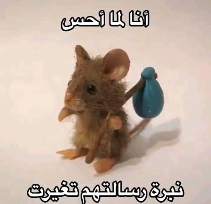 egymeme11's tweet photo. https://t.co/ZZsHl3YyvH