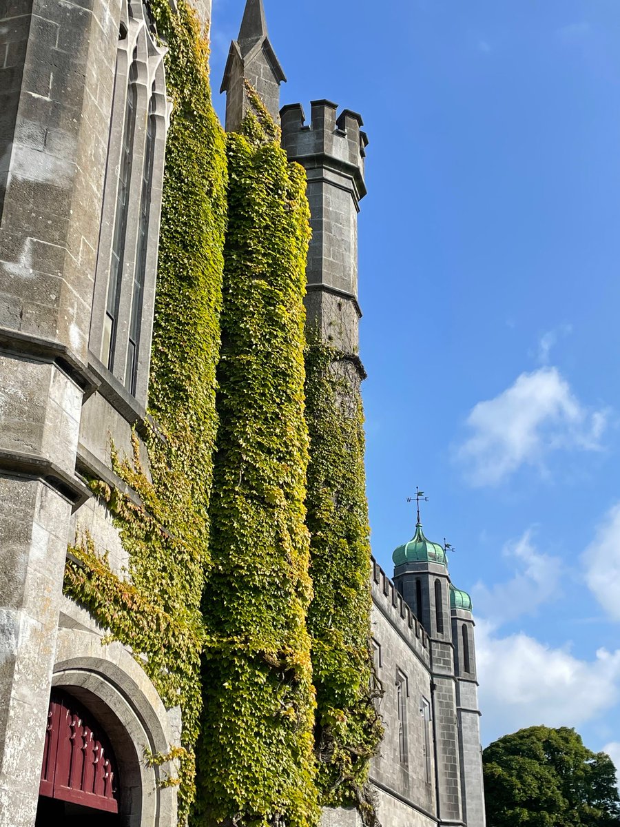 CAIS_Irish's tweet image. All great conferences come to an end, even co-hosted ones. A pleasure working with @uofgalway this year. Great vibes all round, and their thank-you cards are a lovely touch! Míle buíochas to the CIS committee and CAIS/GCIS participants! @johnjb02 @LNiChoistealbha #irishincanada