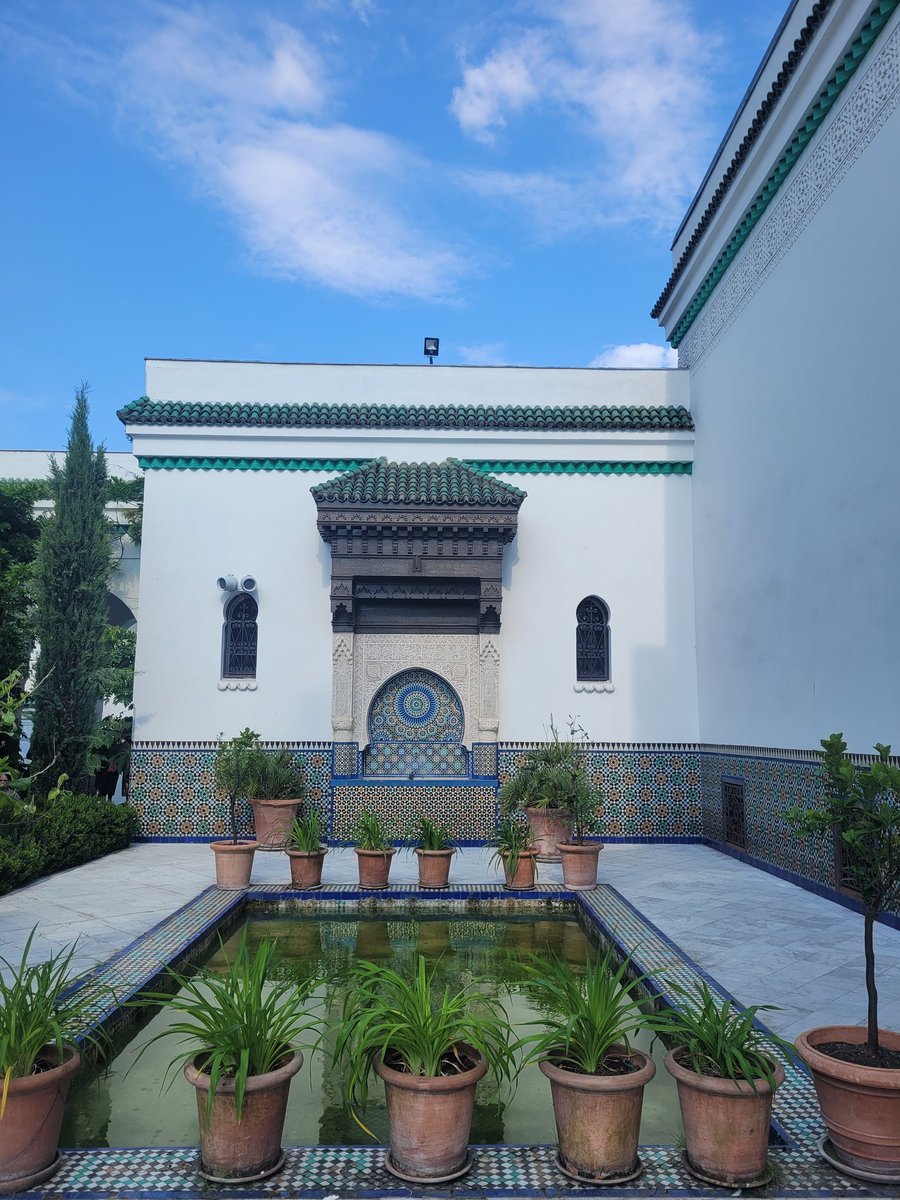 paris camiinin avlusunda soluklanmak