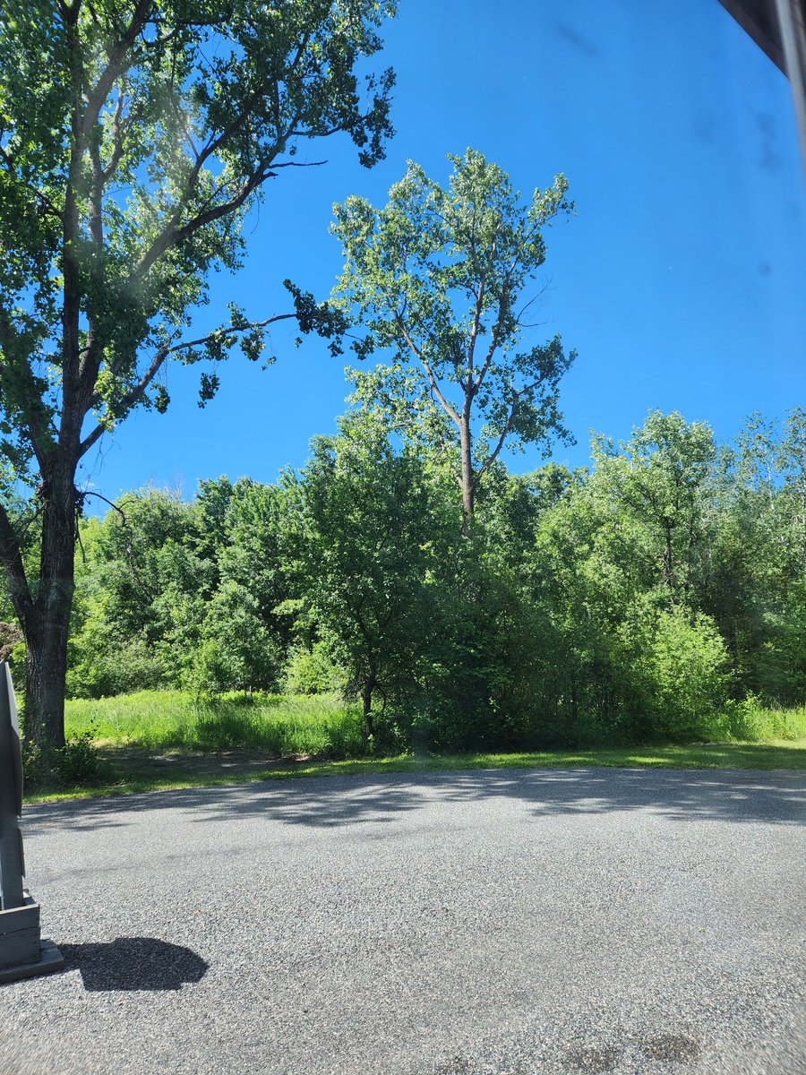 s_j_clements's tweet photo. Office view today ☺️ #wazeelake #ChillMode #relaxingmorning #officeview https://t.co/bQPUy7fBl6