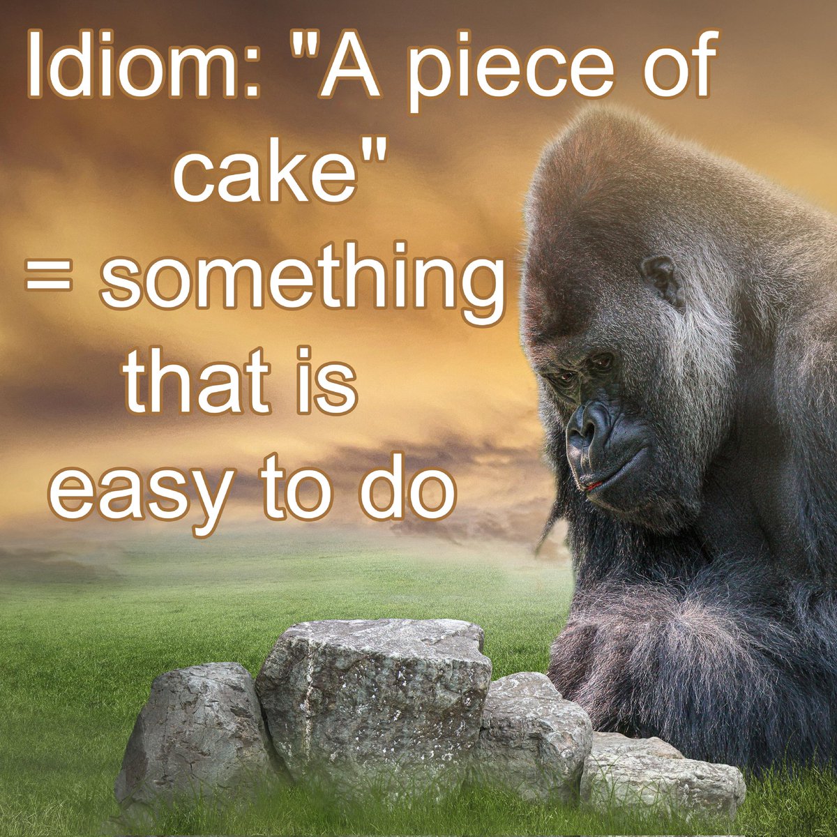 IdiomConnection tweet media