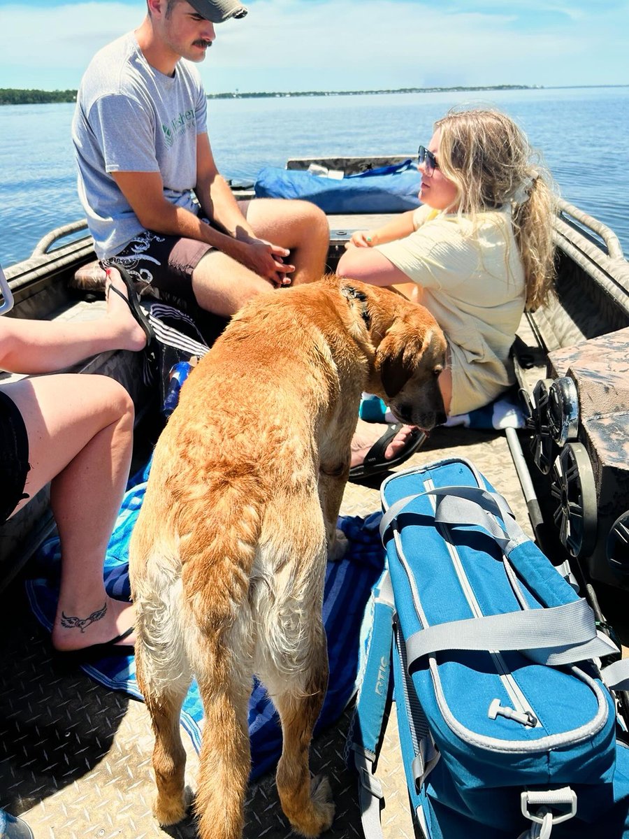 lrk6349's tweet photo. Fun day on the water. https://t.co/U7p7VVfwYh