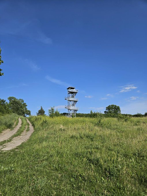 1000 ❤️ i robię tam zdjecie gołych cycow https://t.co/FKpqh20N2M