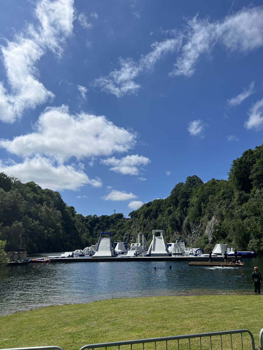 Abigail Yardimci tweet media