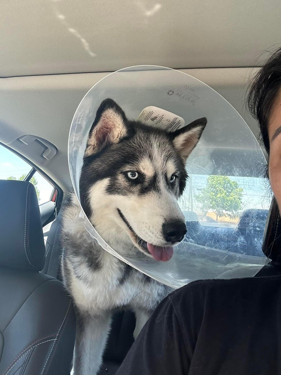 Sgt Stu 🇺🇸 tweet media