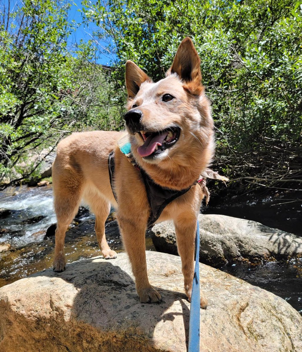 Winter Park Resort tweet media