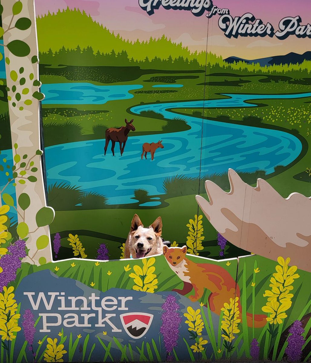 Winter Park Resort tweet media